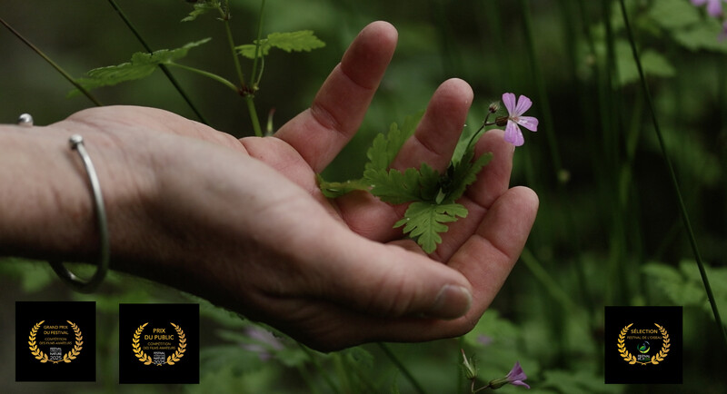 The Sound of the Hawthorn poster